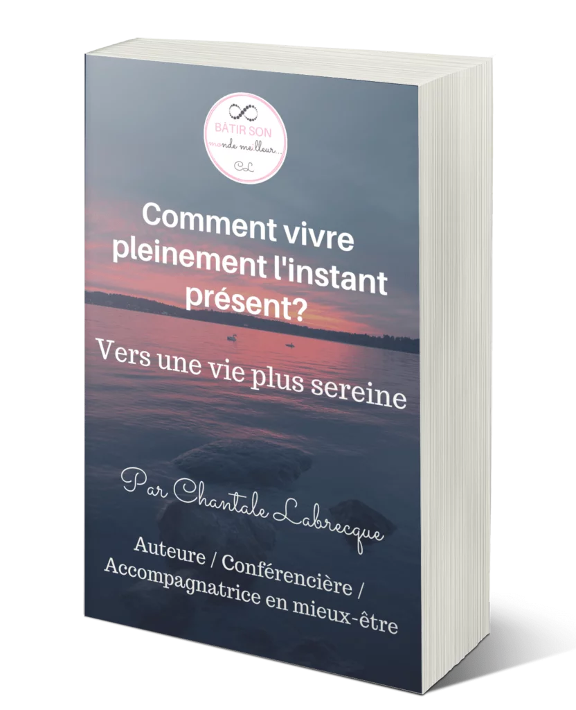 Guide Comment vivre linstant present Chantale Labrecque