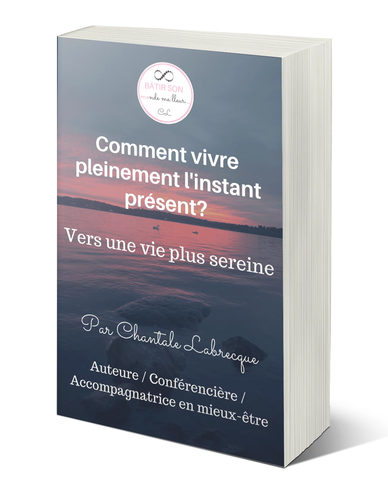 Guide Comment vivre linstant present Chantale Labrecque